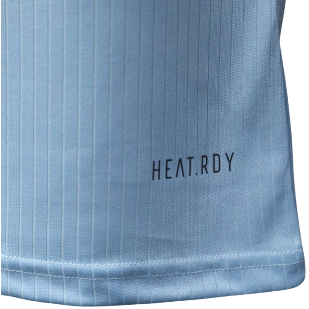 Alemanha Guarda-Redes 25/26 - Versão Jogador