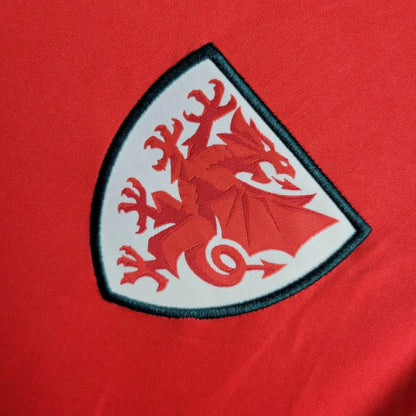 Wales Home 24/25