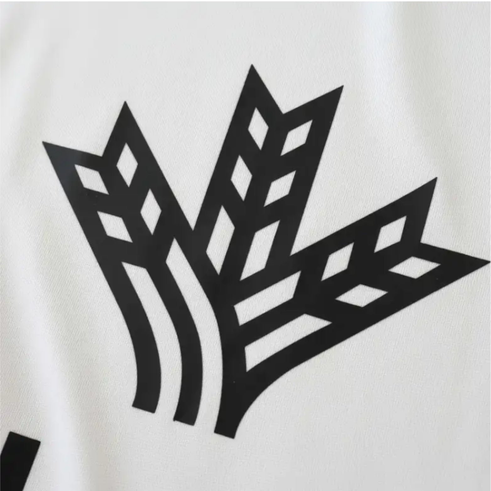 Albacete Principal 24/25