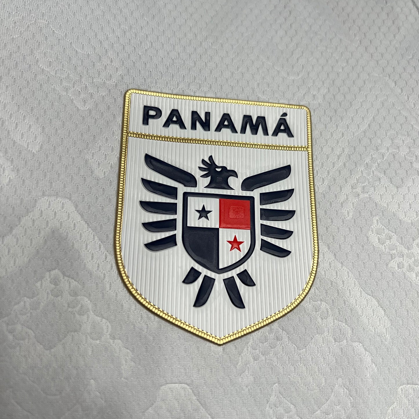 Panamá Alternativa 24/25