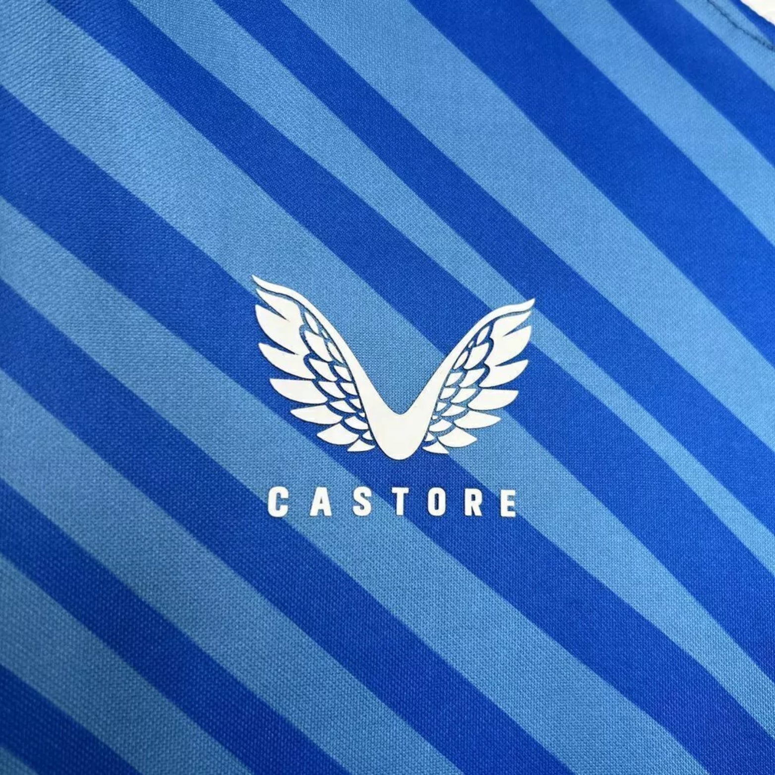 Dinamo Zagreb Principal 24/25