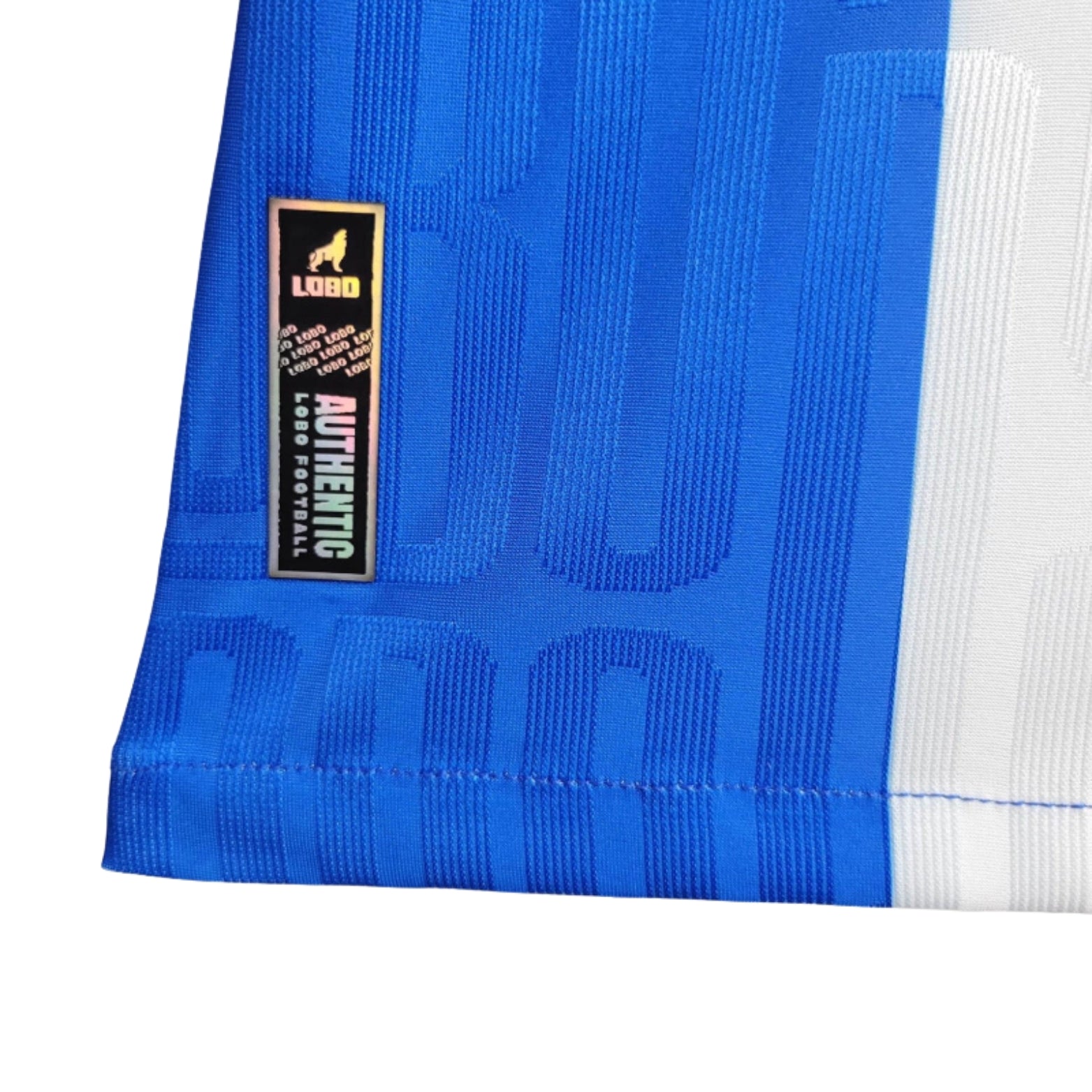 Paysandu Principal 24/25 - Versão Feminina