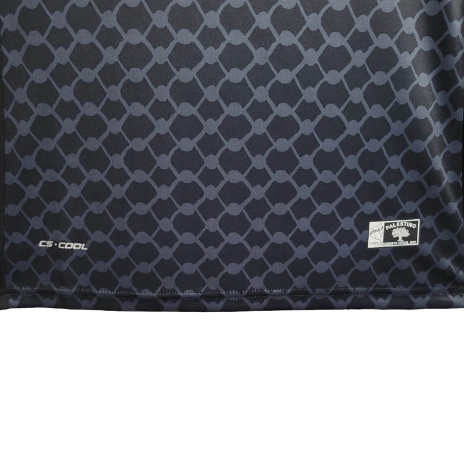 CD Palestino Alternativa 24/25