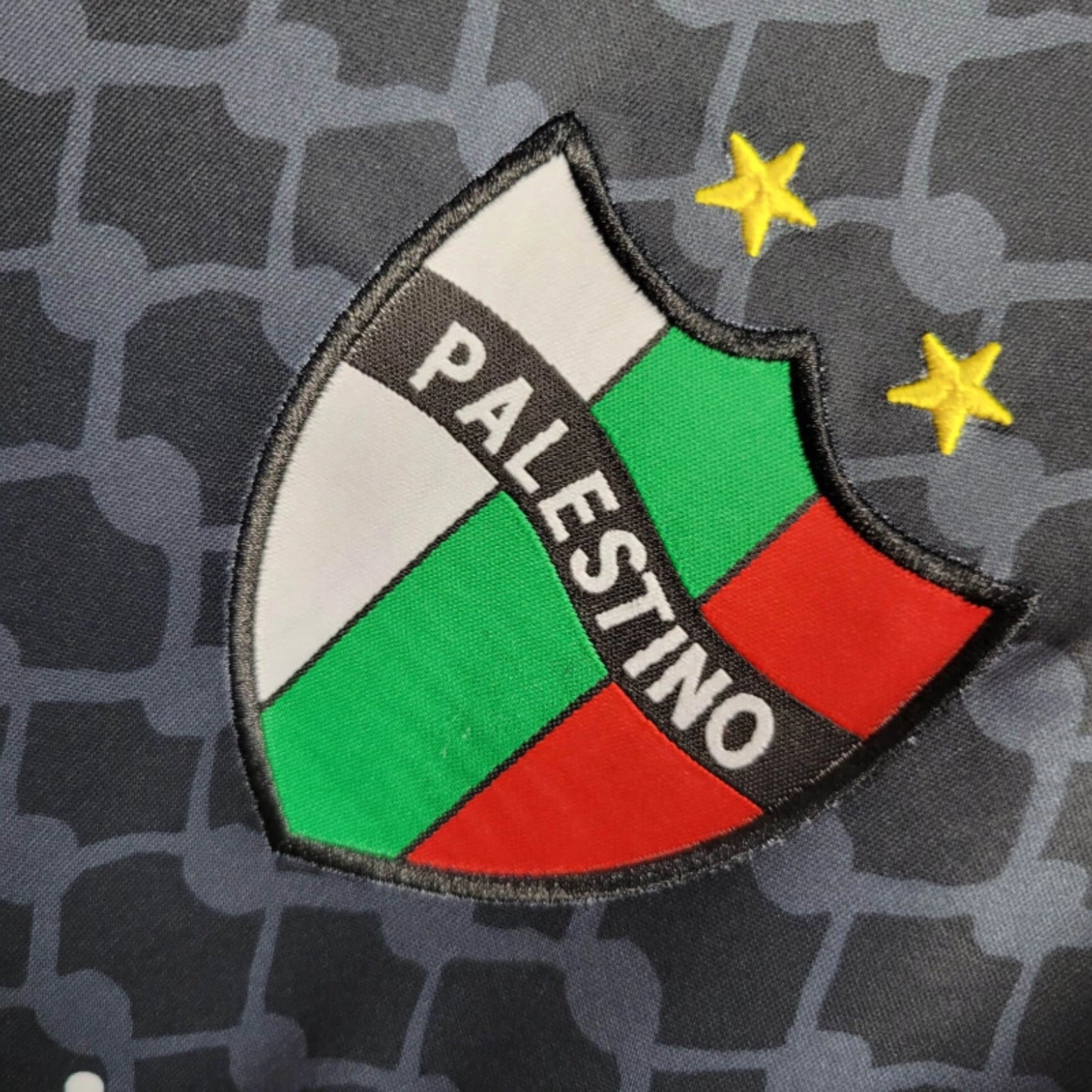 CD Palestino Alternativa 24/25