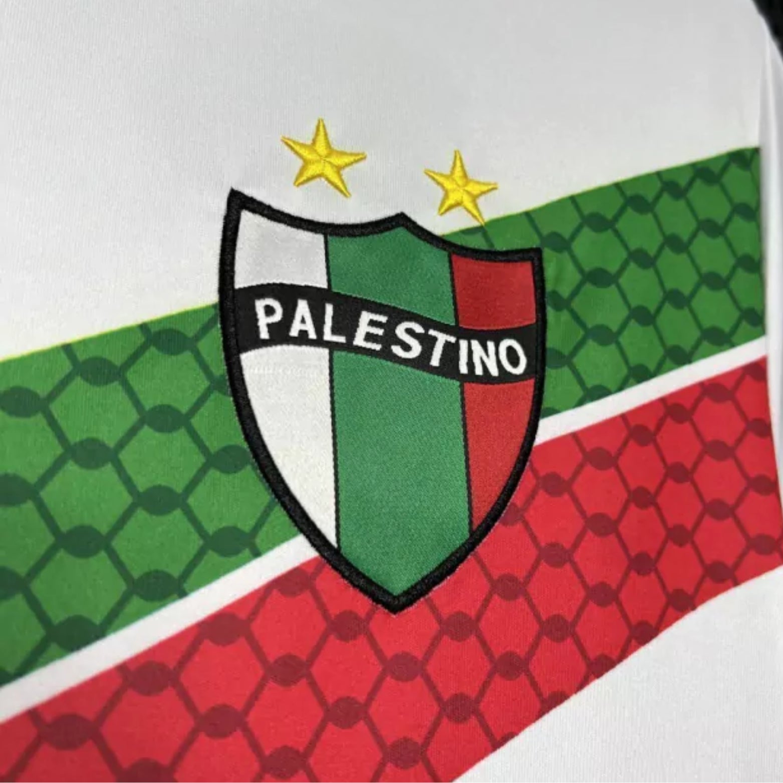 CD Palestino Edição Especial 24/25