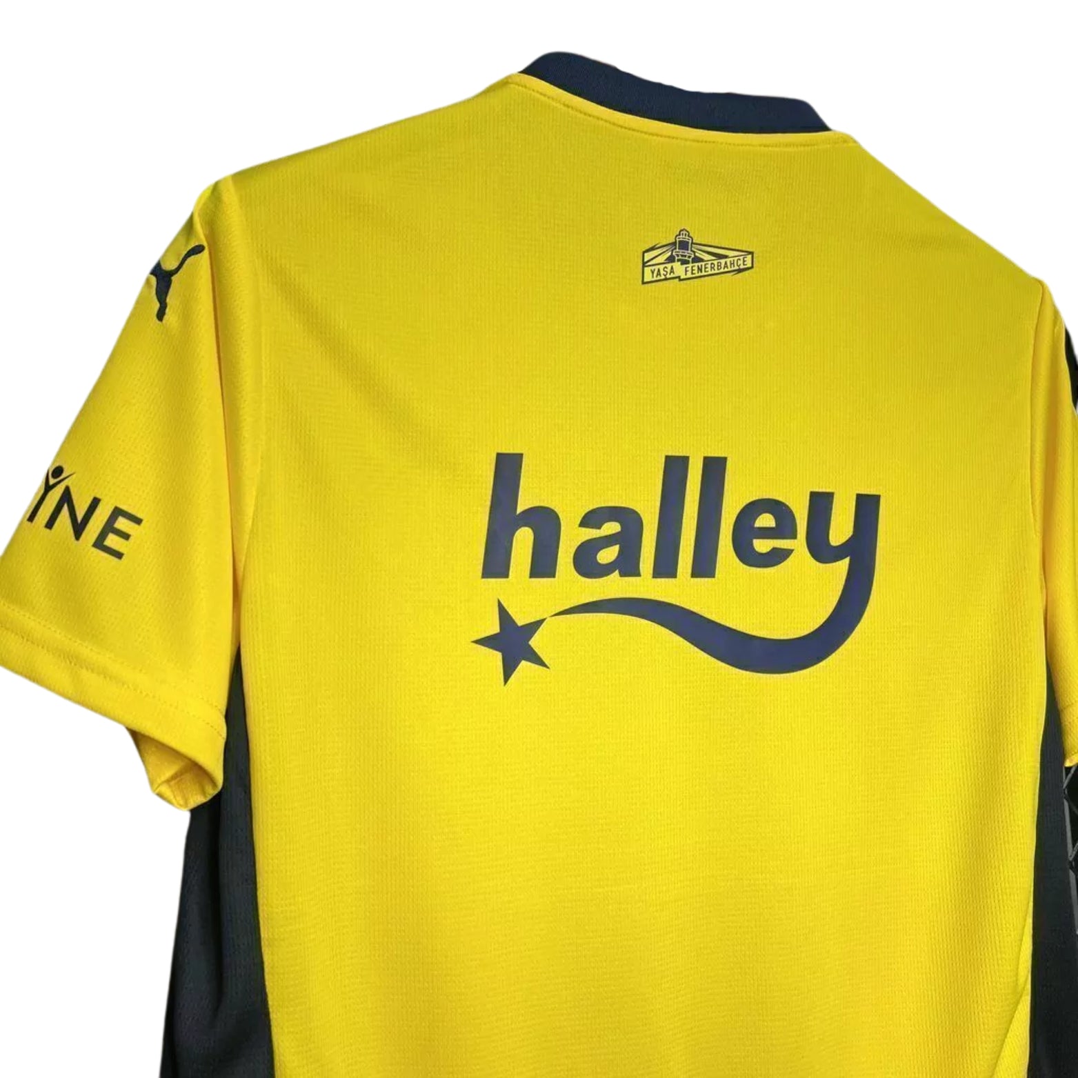 Fenerbahce Principal 24/25