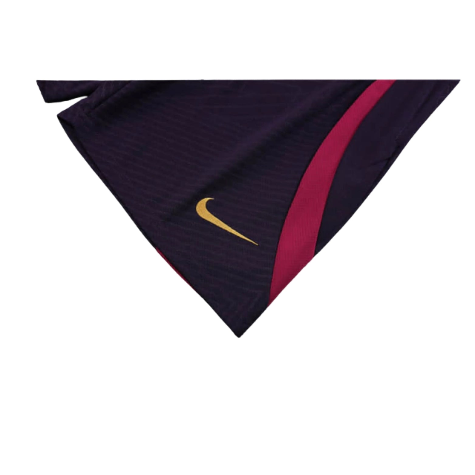 Equipamento de Treino - PSG 24/25