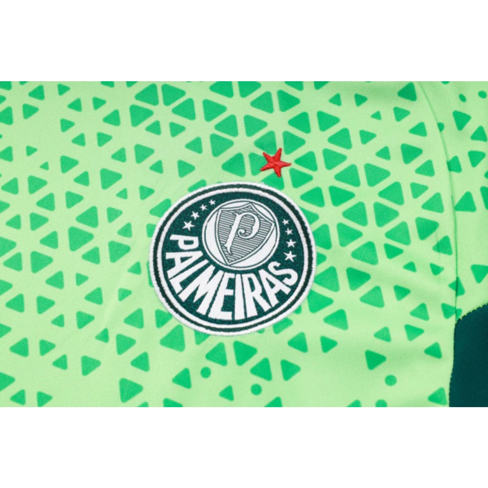 Palmeiras 24/25 - Training Equipment