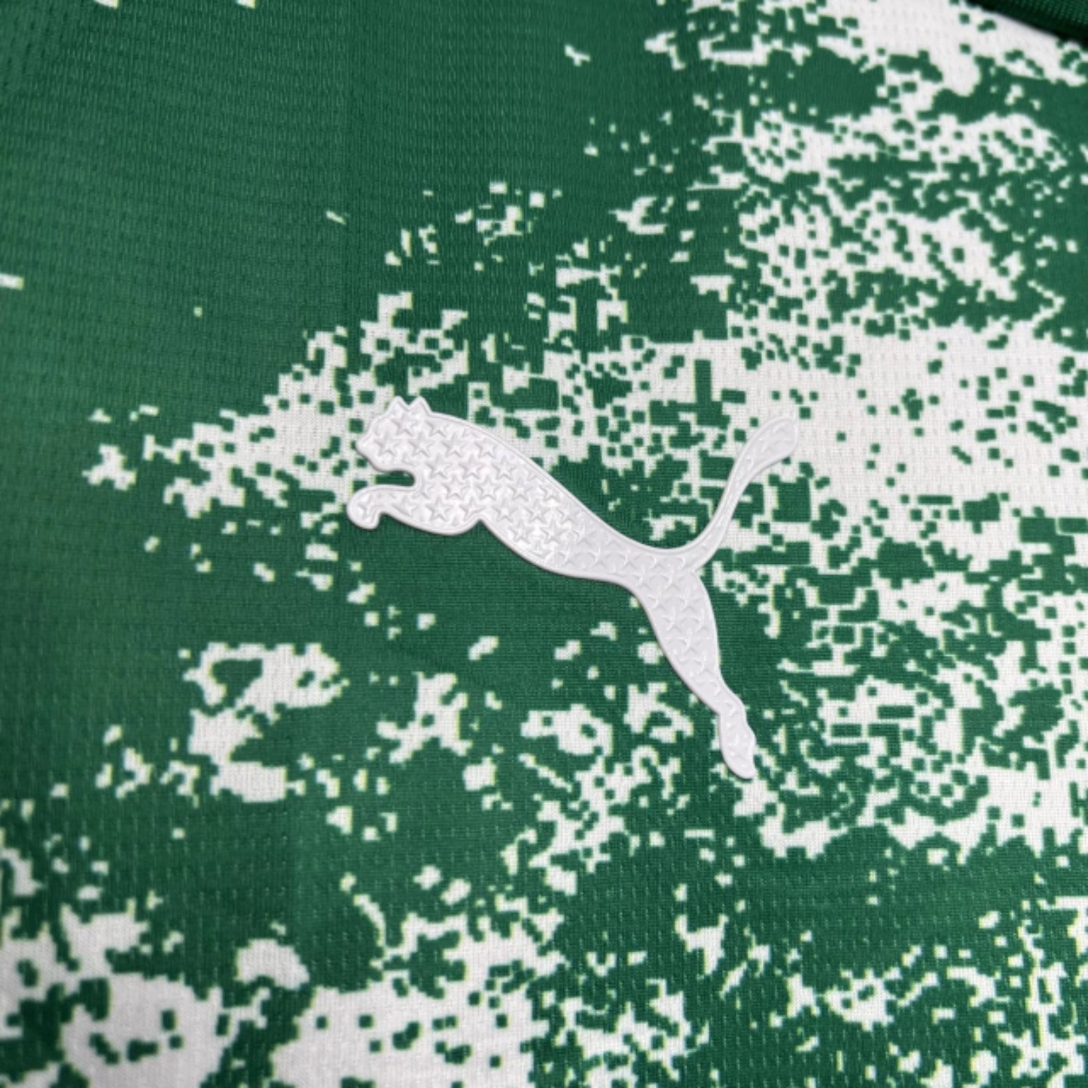 Palmeiras Edição Especial 24/25