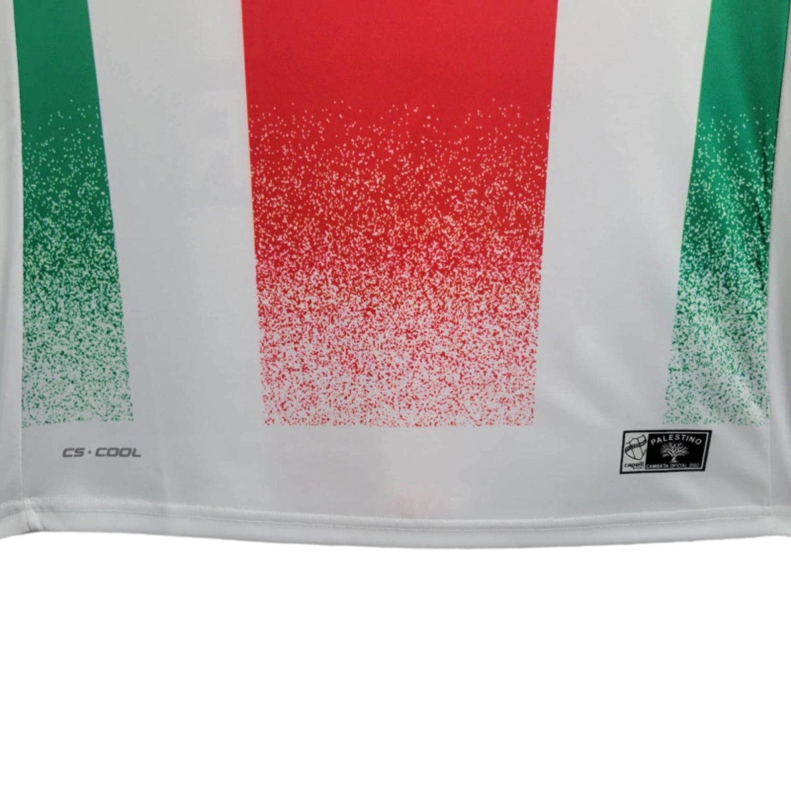 CD Palestino Principal 24/25