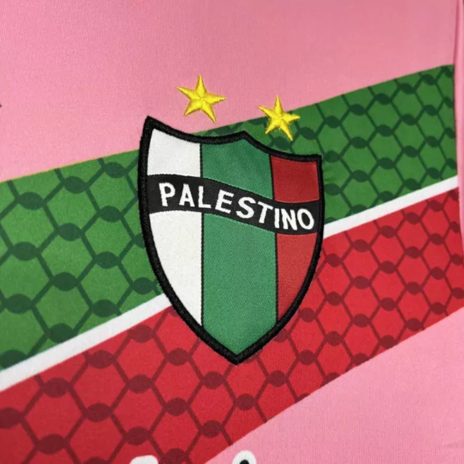 CD Palestino Edição Especial 24/25
