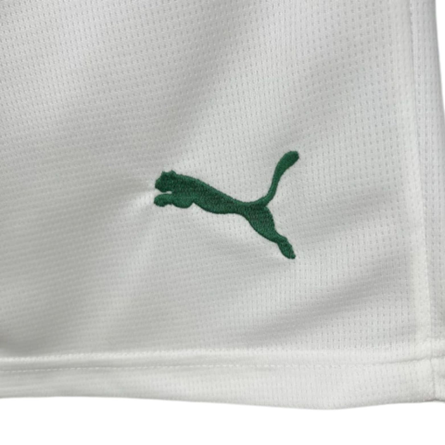 Calções - Palmeiras Principal 25/26