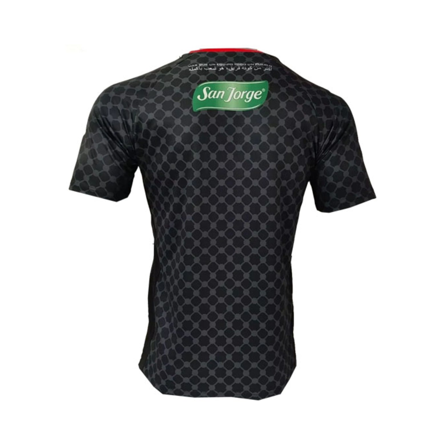 CD Palestino Alternativa 25/26