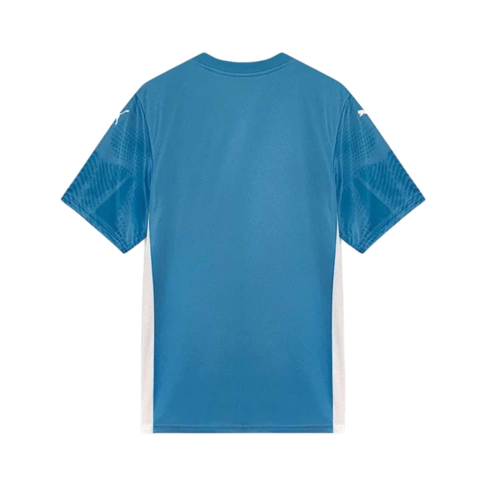 Palmeiras Goalkeeper 25/26