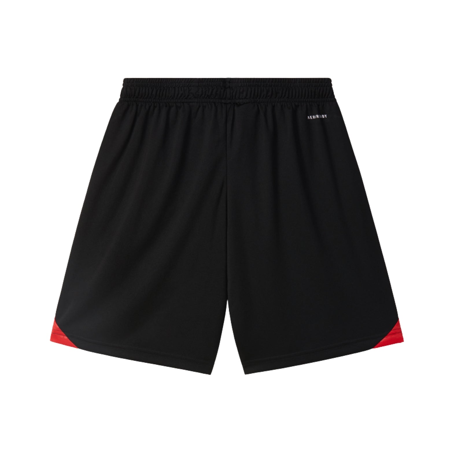 Benfica 25/26 - Equipamento de Treino c/ Polo