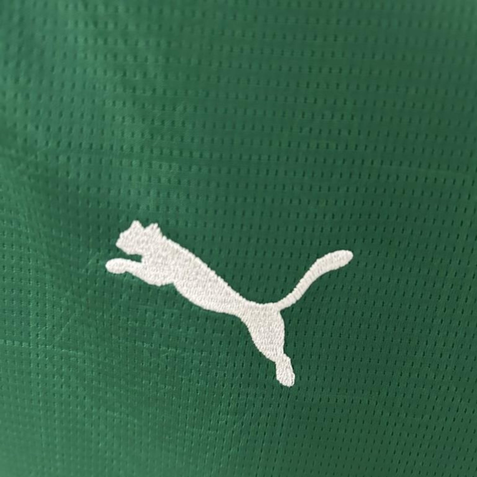 Palmeiras Principal 25/26 - Versão Feminina