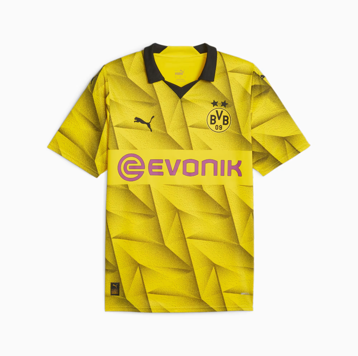 Borussia Dortmund Domicile 23/24