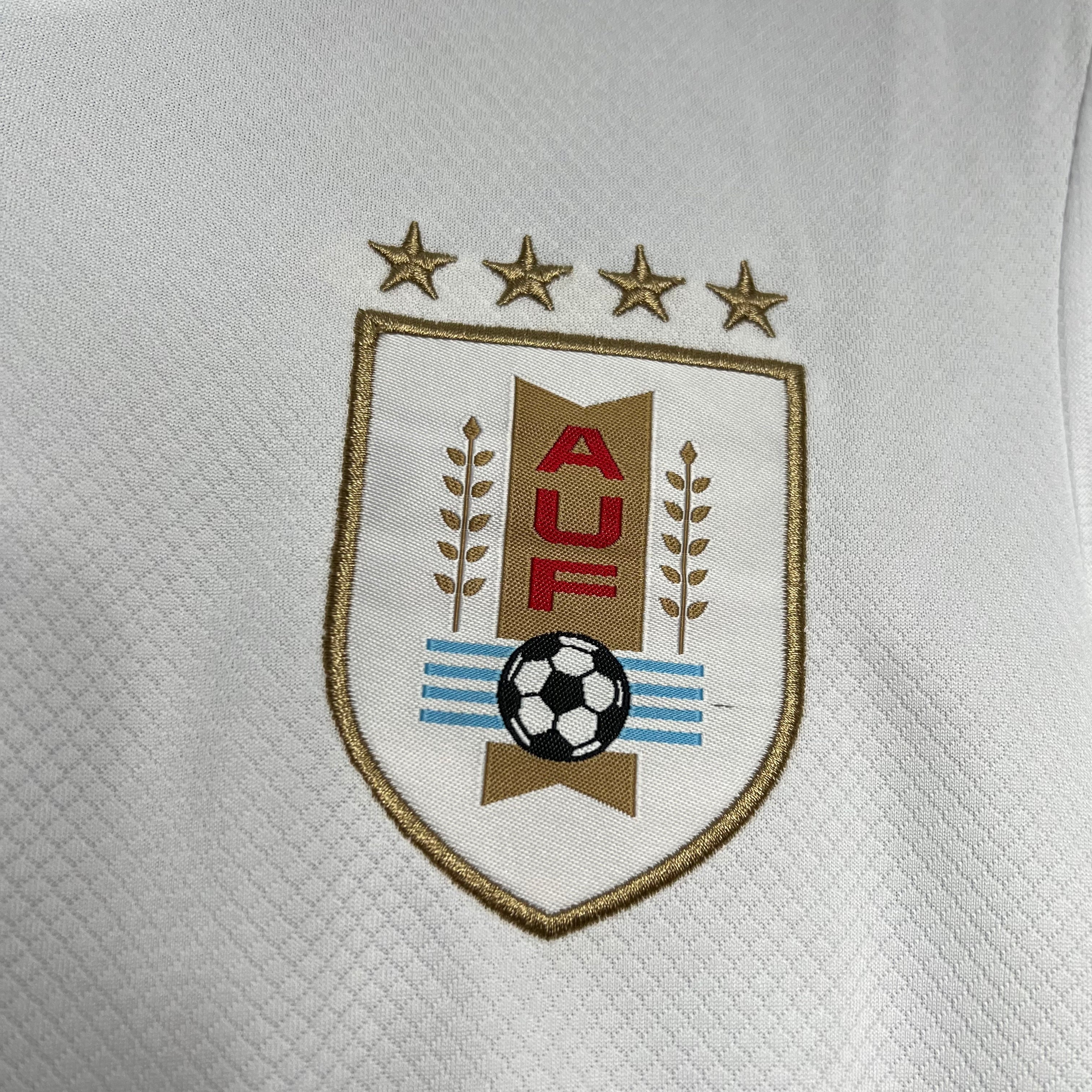 Uruguai Alternativa 24/25 - Copa América 2024