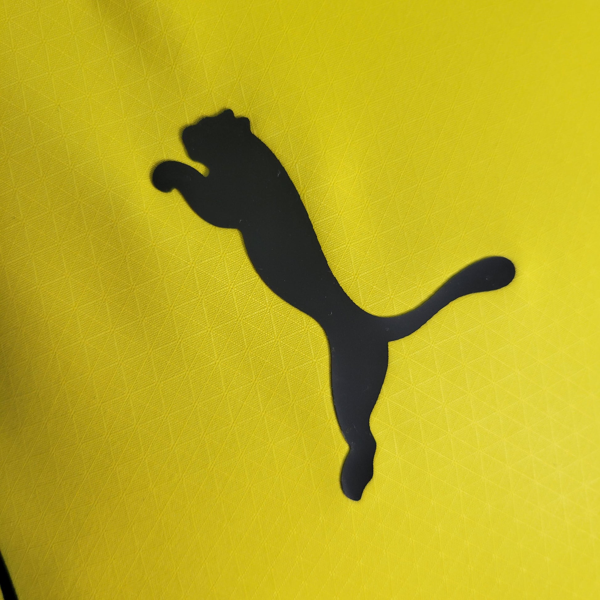 Borussia Dortmund Home 23/24 - Versão Jogador - Game Day